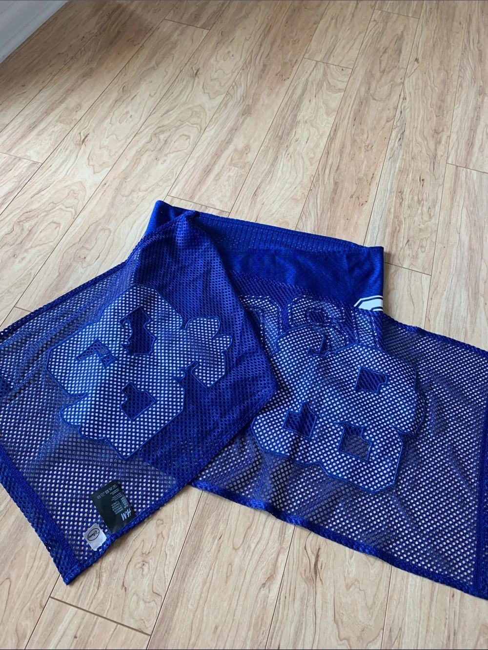 Moschino H&M Disney Blue Mesh Scarf with Mickey & Minnie Graphics